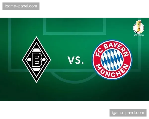 德甲俱乐部在华机构布局，拜仁多特门兴等设常设机构