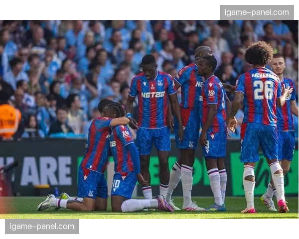 即时：卢顿对阵水晶宫比赛因极端天气中断半小时